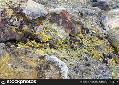 The silica, sulfur deposits, lichen and rhyolite structures of the active volcanic Krafla System in Iceland