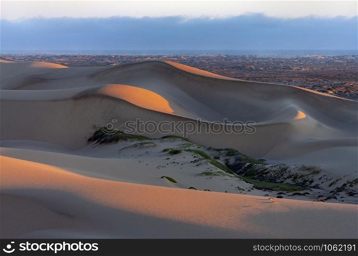 The Skeleton Coast in Nambia, Africa. View in the late afternoon sunlight over sand dunes towards the coast.