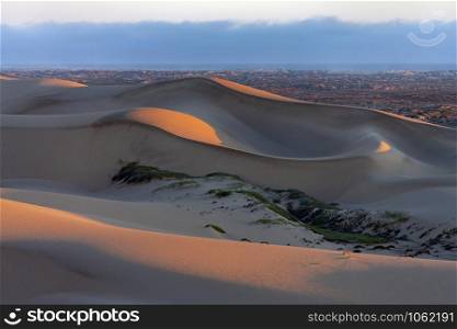 The Skeleton Coast in Nambia, Africa. View in the late afternoon sunlight over sand dunes towards the coast.