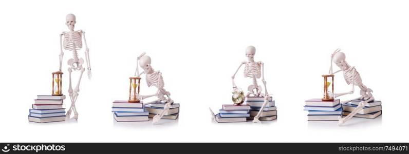 The skeleton reading books on white. Skeleton reading books on white