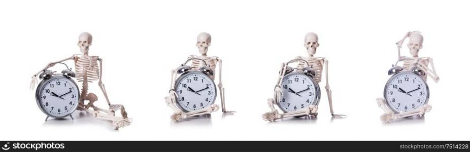 The skeleton with alarm clock on the white. Skeleton with alarm clock on the white