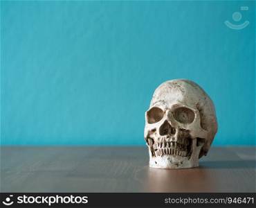 The skull is placed on a wooden table. The backdrop is blue. having copy space