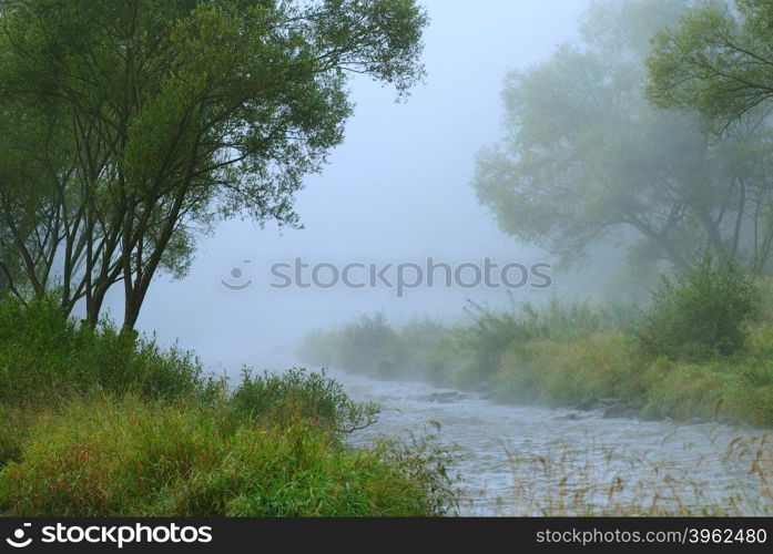 The small forest river in the early foggy morning