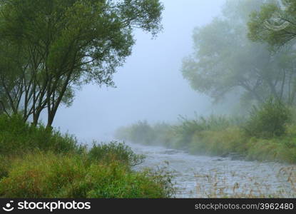 The small forest river in the early foggy morning