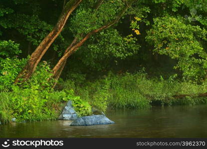 The small forest river in the early morning