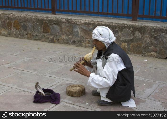 The snake charmer plays on a pipe sitting on a stone floor. The snake, a cobra creeps out of a basket. India Goa.