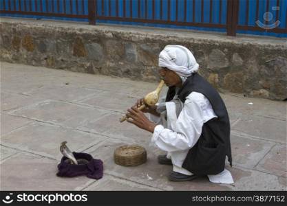The snake charmer plays on a pipe sitting on a stone floor. The snake, a cobra creeps out of a basket. India Goa.