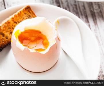 The soft-boiled egg in an eggcup with toasted bread