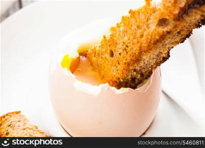 The soft-boiled egg in an eggcup with toasted bread