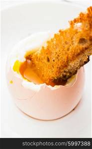 The soft-boiled egg in an eggcup with toasted bread. The soft-boiled egg