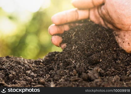 The soil is rich in minerals, suitable for cultivation in the hands of men, farmers.