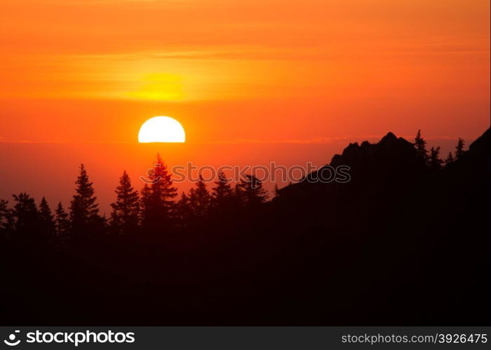 the solar disk rises on the horizon over the trees