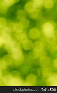 The sparkling blur abstract green background.