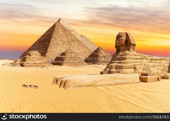 The Sphinx and the Pyramids of Giza, wonders of the world in Egypt, sunset view.. The Sphinx and the Pyramids of Giza, wonders of the world in Egypt, sunset view