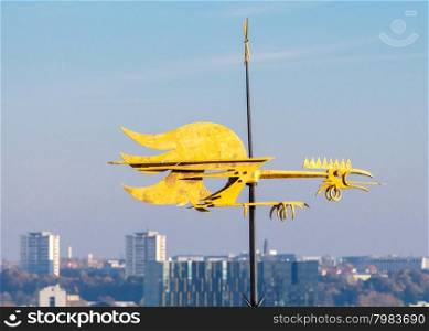 The spiers, weather vanes, roofs of the old city on the background of modern buildings.
