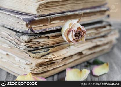 The stack of old books and Dried rose lying on an old wooden board