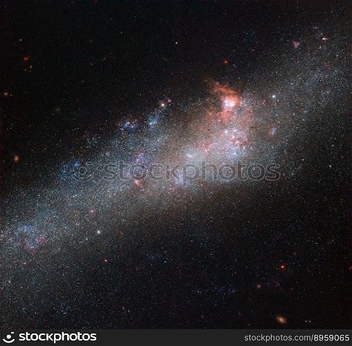   The star of this Hubble Picture of the Week is a galaxy known as NGC 4656, located in the constellation of Canes Venatici (The Hunting Dogs). However, it also has a somewhat more interesting and intriguing name: the Hockey Stick Galaxy! The reason for this is a little unclear from this partial view, which shows the bright central region, but the galaxy is actually shaped like an elongated, warped stick, stretching out through space until it curls around at one end to form a striking imitation of a celestial hockey stick. This unusual shape is thought to be due to an interaction between NGC 4656 and a couple of near neighbours, NGC 4631 (otherwise known as The Whale Galaxy) and NGC 4627 (a small elliptical). Galactic interactions can completely reshape a celestial object, shifting and warping its constituent gas, stars, and dust into bizarre and beautiful configurations. The NASA/ESA Hubble Space Telescope has spied a large number of interacting galaxies over the years, from the cosmic rose of Arp 273 to the egg-penguin duo of Arp 142 and the pinwheel swirls of Arp 240. More Hubble images of interacting galaxies can be seen here.