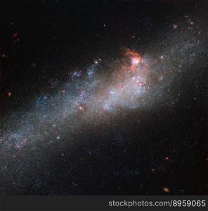   The star of this Hubble Picture of the Week is a galaxy known as NGC 4656, located in the constellation of Canes Venatici (The Hunting Dogs). However, it also has a somewhat more interesting and intriguing name: the Hockey Stick Galaxy! The reason for this is a little unclear from this partial view, which shows the bright central region, but the galaxy is actually shaped like an elongated, warped stick, stretching out through space until it curls around at one end to form a striking imitation of a celestial hockey stick. This unusual shape is thought to be due to an interaction between NGC 4656 and a couple of near neighbours, NGC 4631 (otherwise known as The Whale Galaxy) and NGC 4627 (a small elliptical). Galactic interactions can completely reshape a celestial object, shifting and warping its constituent gas, stars, and dust into bizarre and beautiful configurations. The NASA/ESA Hubble Space Telescope has spied a large number of interacting galaxies over the years, from the cosmic rose of Arp 273 to the egg-penguin duo of Arp 142 and the pinwheel swirls of Arp 240. More Hubble images of interacting galaxies can be seen here.