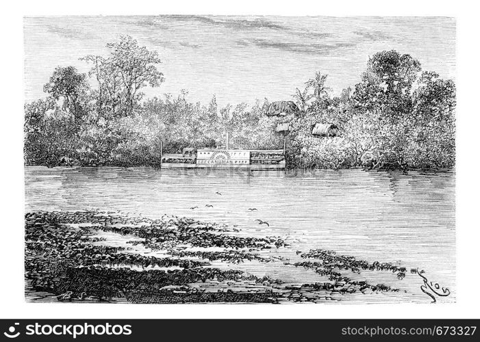 The Steam Ship Canuman Along the Ica River in Amazonas, Brazil, drawing by Riou from a photograph, vintage engraved illustration. Le Tour du Monde, Travel Journal, 1881