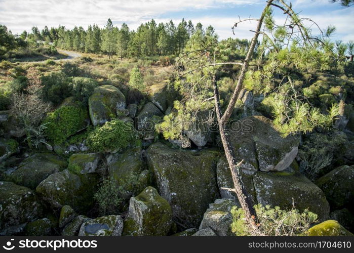 the Stone Canyon of Ribeira de Sor near the Village of Sume in Alentejo in Portugal. Portugal, Sume, October, 2021