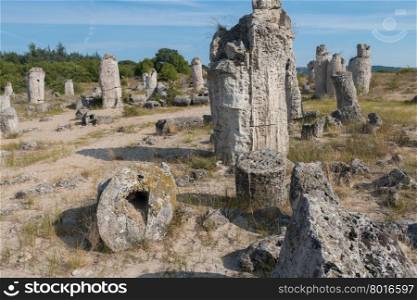 The Stone Desert (Pobiti kamani) near Varna, Bulgaria