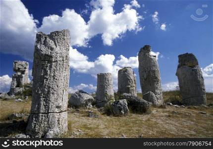 the stone forest near the city of Varna on the Blacksea in Bulgaria in east Europe.. EUROPE BULGARIA VARNA