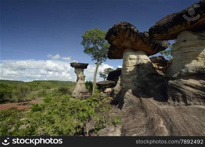 the stone formation in the Pha Taem Nationalpark near Khong Chiam and the mekong river in the provinz of Ubon Rachathani in the Region of Isan in Northeast Thailand in Thailand.&#xA;