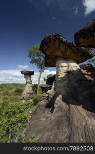 the stone formation in the Pha Taem Nationalpark near Khong Chiam and the mekong river in the provinz of Ubon Rachathani in the Region of Isan in Northeast Thailand in Thailand.&#xA;