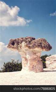 The Stone Mushrooms near Beli Plast Village in Bulgaria