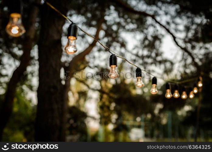 the strand of lights strung in the forest among trees, wedding ceremony