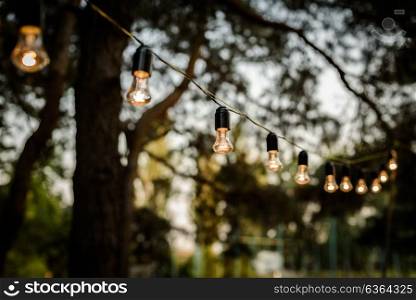 the strand of lights strung in the forest among trees, wedding ceremony