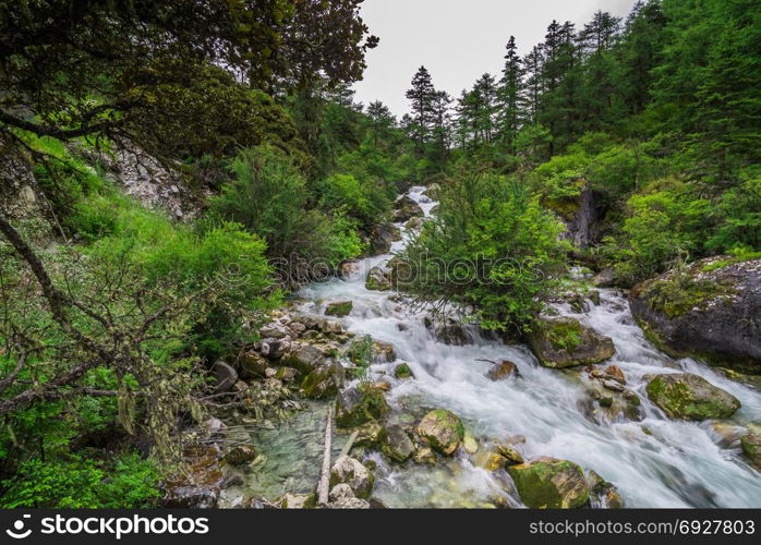 The stream flows through the mountains and pastures in Yading Nature Reserve, Daocheng County, Sichuan, China.