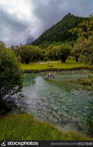 The stream flows through the mountains and pastures in Yading Nature Reserve, Daocheng County, Sichuan, China.