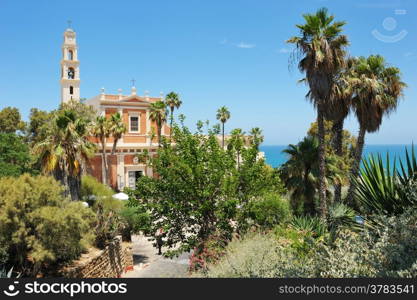 The streets, houses and trees of Old Jaffa