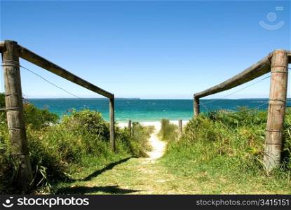 The striking colours of an East Coast beach, Australia