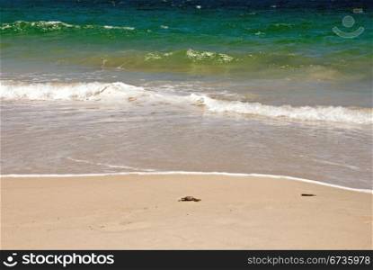 The striking colours of an East Coast beach, Australia