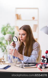 The student sitting in classroom and studying skeleton. Student sitting in classroom and studying skeleton