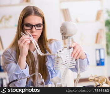The student sitting in classroom and studying skeleton. Student sitting in classroom and studying skeleton