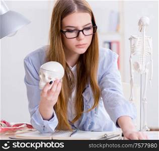 The student sitting in classroom and studying skeleton. Student sitting in classroom and studying skeleton