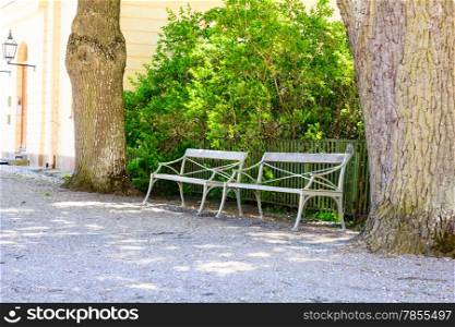 The Stylish bench in the summer park