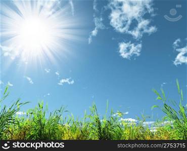The sun and meadow. Bright beams of the sun above a picturesque meadow
