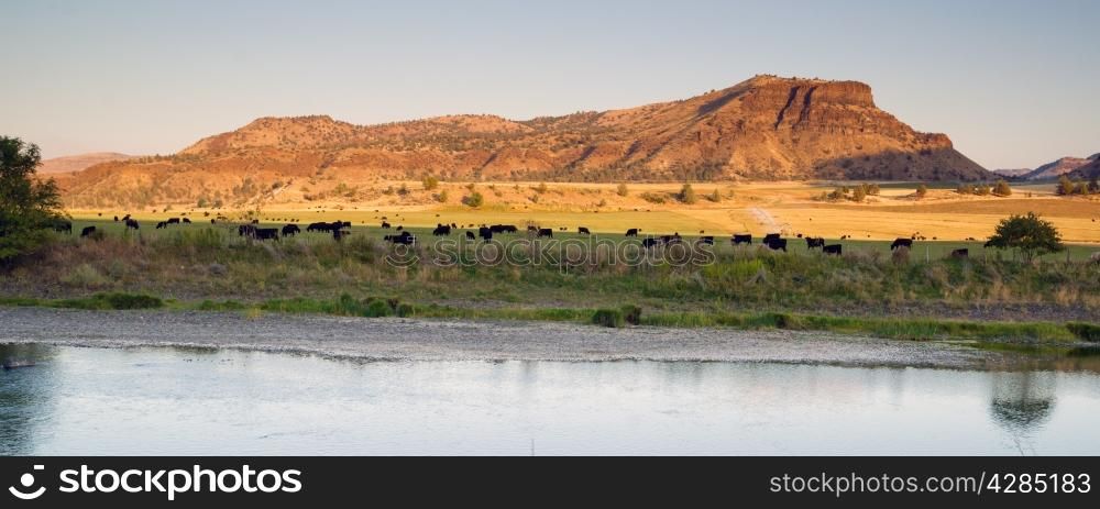 The sun has almost set over this cattle ranch in Oregon desert land