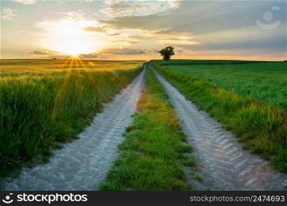 The sun hides behind the clouds and a dirt road through farmland, Staw, Lubelskie, Poland