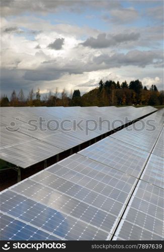 The sun hits panels on a green solar energy farm