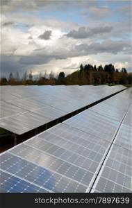 The sun hits panels on a green solar energy farm