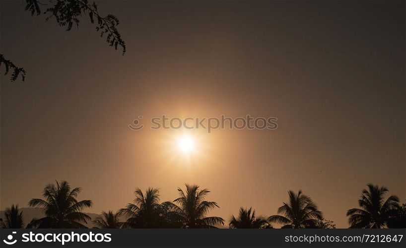 The sun in the morning,warm light, picture, chillouette