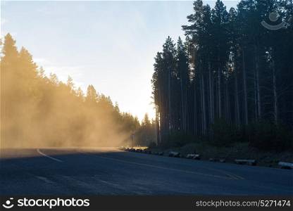 The sun rising on a misty morning along Yellowstone Loop Road