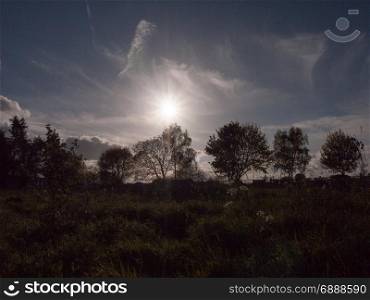 the sun setting going down in the sky over tree tops and land with shrubs and plants with sun flare and streaked white blue sky in spring