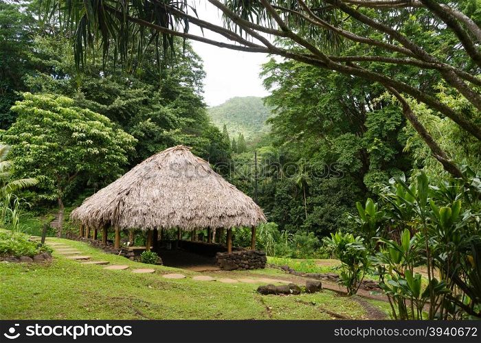 The sun shines on this tropical forest hut