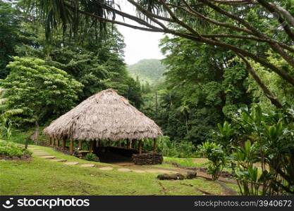 The sun shines on this tropical forest hut